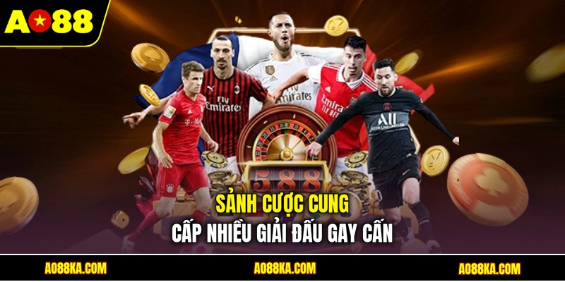Sảnh cược cung cấp nhiều giải đấu gay cấn
